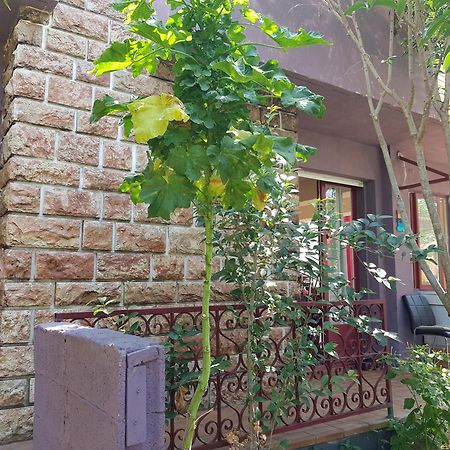Chambres Privees Maison Jardin Toutes Commodites Partagees Valras-Plage Dış mekan fotoğraf