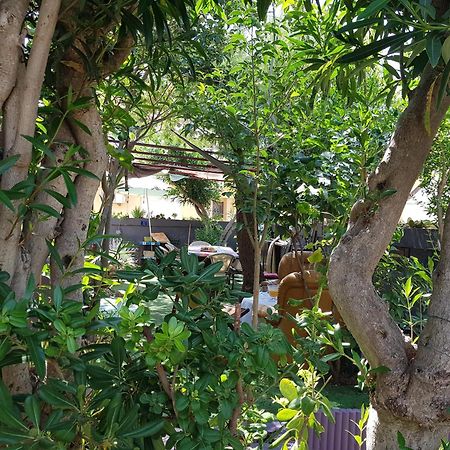 Chambres Privees Maison Jardin Toutes Commodites Partagees Valras-Plage Dış mekan fotoğraf